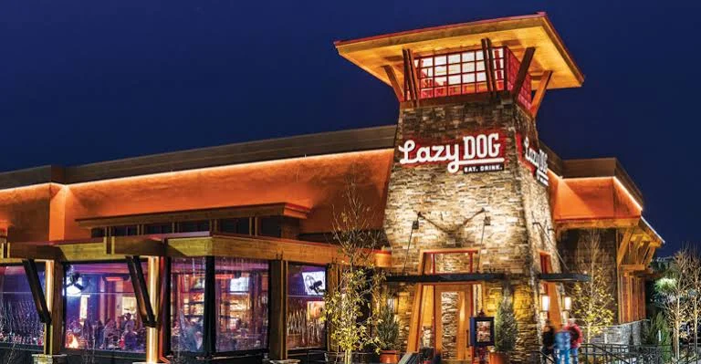 lazy dog happy hour menu